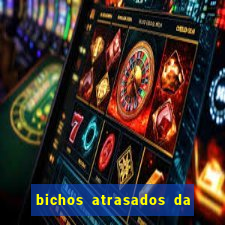 bichos atrasados da loteria federal