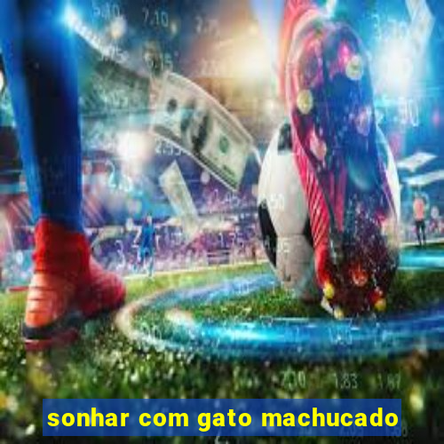 sonhar com gato machucado