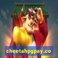 cheetahpgpay.com