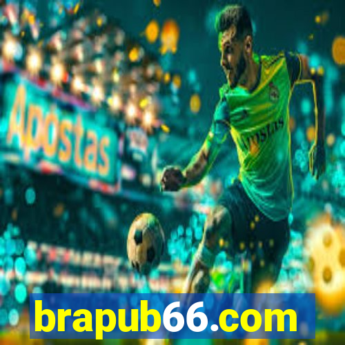 brapub66.com