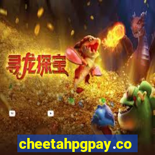 cheetahpgpay.com