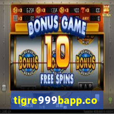 tigre999bapp.com